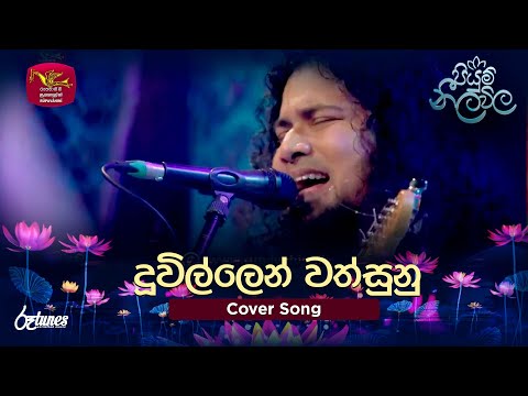 Duwillen Wathsunu Thawara | දූවිල්ලෙන් වත්සුනු | Grade14 (Cover Song) | Piyum Neela Vila | Roo Tunes