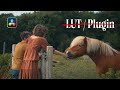 Create Your Film Grade In DaVinci Resolve The Ultimate Cinematic Color Grading Tutorial