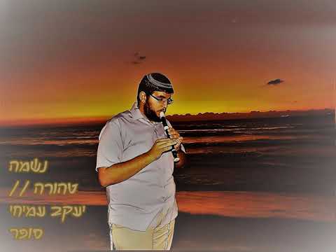 download lagu mp3 mp4 Neshama Tehora, download mp3 Neshama Tehora free download mp3, download mp3 Neshama Tehora
