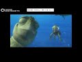 Buscando A Nemo Video Y DVD Trailer