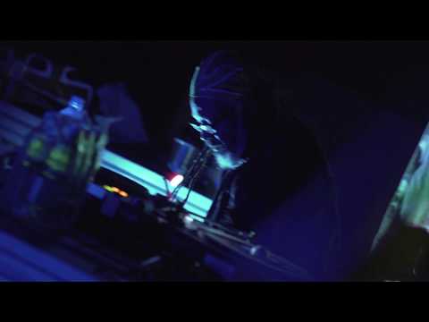 BASS CAMP 2017 - AFTERMOVIE