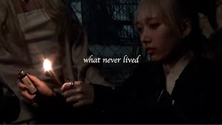 Cover art for what never lived