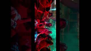 Download lagu Oo Solriya Oo Oo Solriya(Tamil) Video Song |Pushpa Songs |Allu Arjun, Rashmika |DSP |Sukumar |Andrea mp3 Download lagu Oo Solriya Oo Oo Solriya(Tamil) Video Song |Pushpa Songs |Allu Arjun, Rashmika |DSP |Sukumar |Andrea mp3