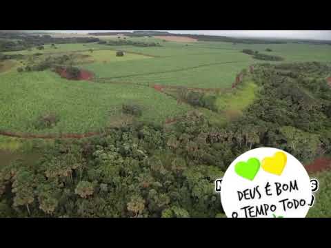 Fazenda à venda em Itumbiara-GO | 18,5 alqueires com área em cana | R$ 5,5 milhões