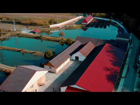 Dexi Mobila, Șard, Alba https://www.facebook.com/deximobila/