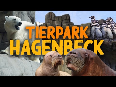 Tierpark Hagenbeck in Hamburg | Zoo-Eindruck