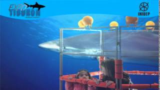 DIA 2 Expo Tiburon17