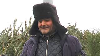 На ринках Харкова перевіряють продавців ялинок