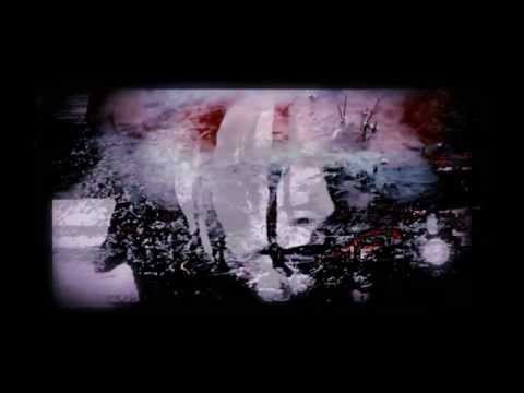 FIOLET : „The Wind"