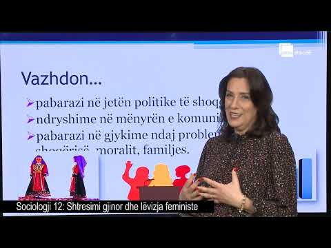 Shtresimi gjinor dhe lëvizja feministe| Sociologji 12