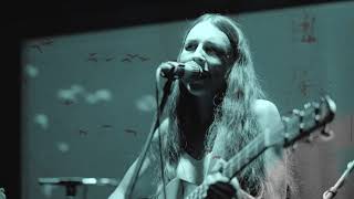 Video Taste The Lemon - Salut à l´oiseau  (Live)