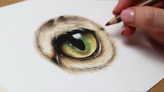 How to draw a realistic cat eye in coloured pencil | Step by step tutorial