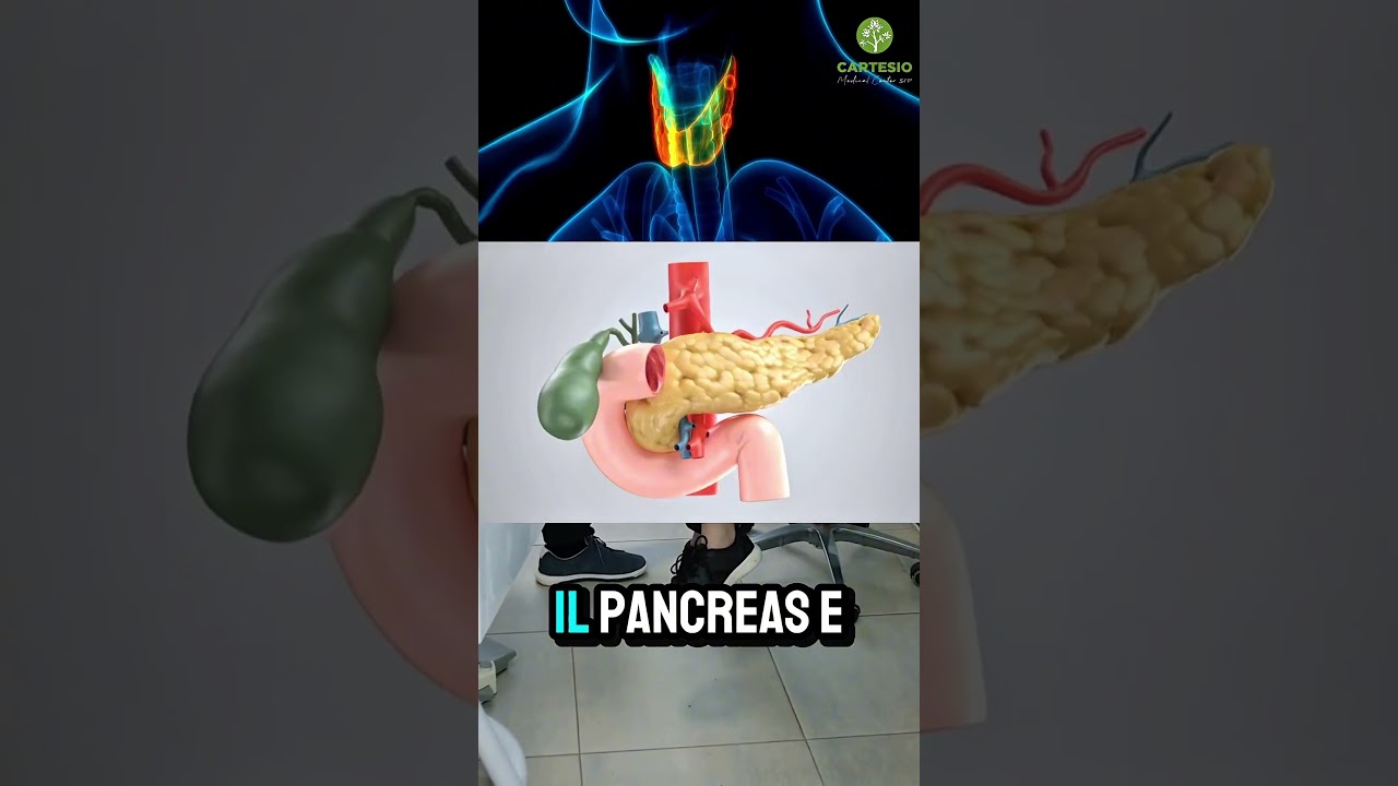 Alfonsina Chiefari-0