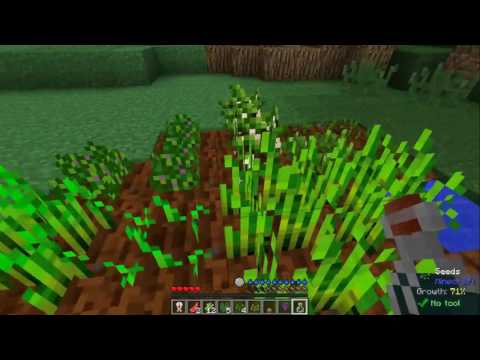 Raxpack 2 Episode 1