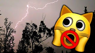 Severe Sydney Summer Storm No Stupid Drama 😱 Storm Sounds Only ⛈