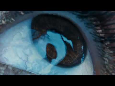 Martyrs 2008 - After Life Scene