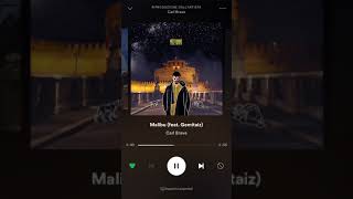 CARL BRAVE X GEMITAIZ - MALIBU