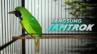 Download lagu LANGSUNG JAMTROK || CUCAK IJO JAMBUL DAN NGENTROK TARUNG EMOSI mp3 Download lagu LANGSUNG JAMTROK || CUCAK IJO JAMBUL DAN NGENTROK TARUNG EMOSI mp3