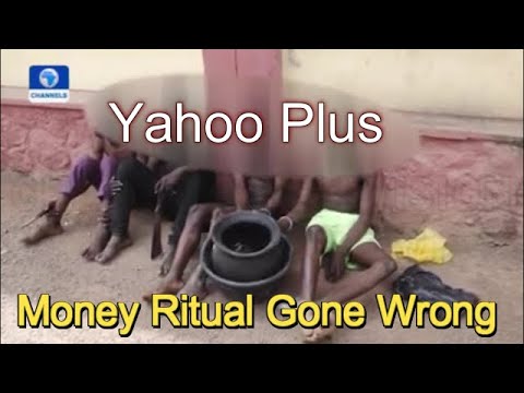 See Where Yahoo Plus Landed These 4 Tanagers