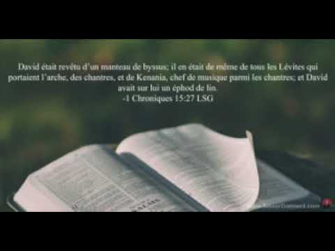 La Bible transport de l arche a Jérusalem Ancien Testament 1 chroniques 15