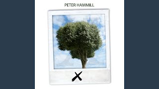 Girl to the North Country