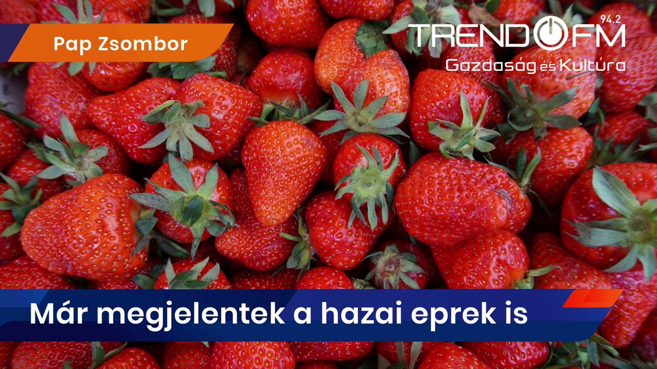 Javában benne vagyunk az eperszezonban | Trend FM