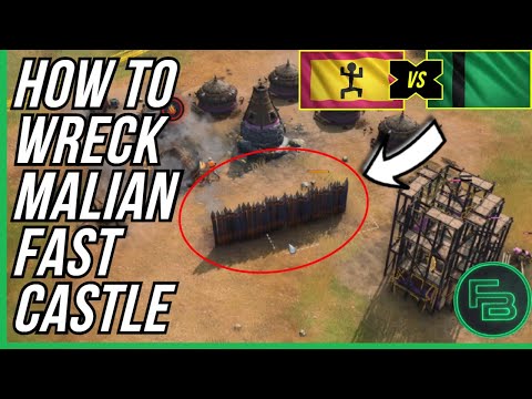 AoE4 - How to Stop Malian FC [3D!Bee vs Beastyqt]