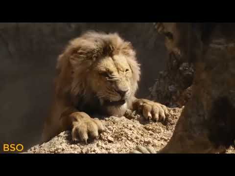 the little mer lioness 2023 mufasa death style