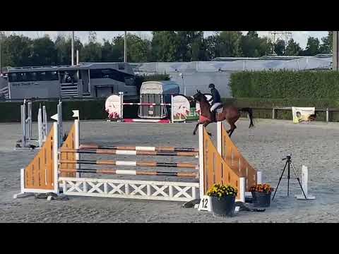 EXTRA EDC Z CONCOURS