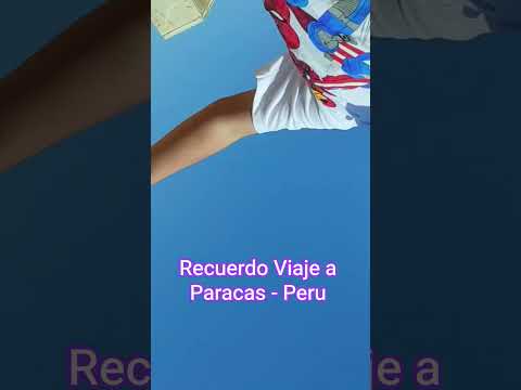 Viaje a Nazca - Ica ( Paracas)