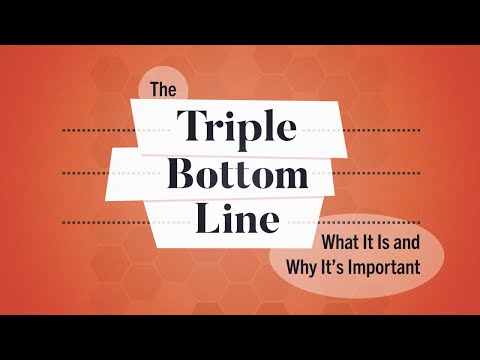 What Is the Triple Bottom Line? | Business: Explained