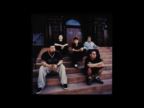 Relative Ash - Liaison