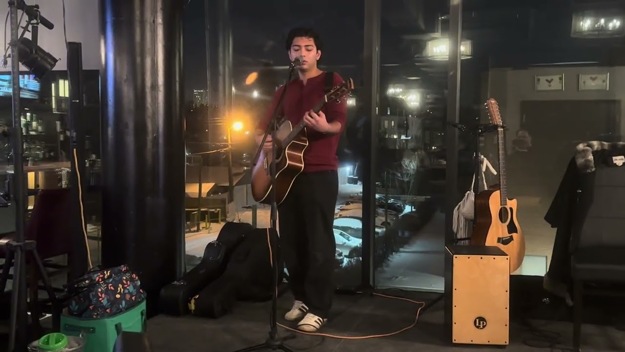 Promotional video thumbnail 1 for Singer/Songwriter, Blues Instrumentalist