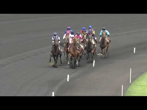 PRIX DU PRESIDENT DE LA REPUBLIQUE 2010 - SCIPION DU GOUTIER