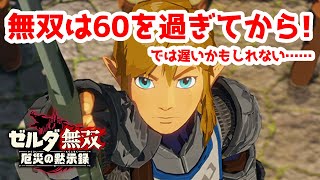 【実況】定年を迎えた父を再びハイラルの大地に放り込むPart1【ゼルダ無双 厄災の黙示録】