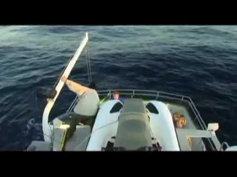 Expedition to Cortes Bank 2001