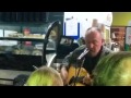 Ed Kuepper, at Avid Reader, Brisbane