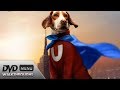 Underdog 2007 DvD Menu Walkthrough