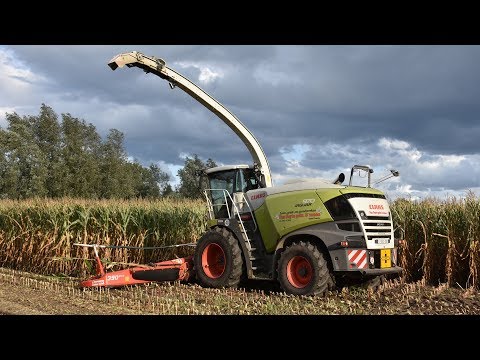 Claas Jaguar 970-type 498 & Kemper 390plus - Loonw. Van Geyte - mais hakselen