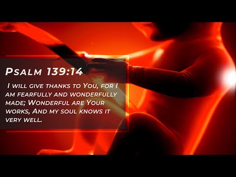 The Sanctity of Life and Scientific Reality! - Jacob Prasch