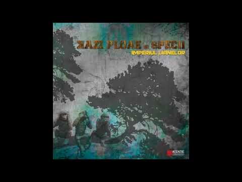Kazi Ploae si Specii - Incotro / Bruiaj (cu Ursacian si Bean) [FLAC]