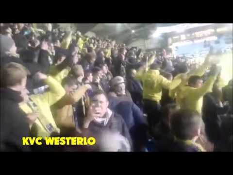 Belgium Ultras- KVC Westerlo