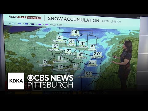 KDKA-TV Morning Forecast (1/11)