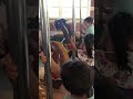 Central Park Carousel