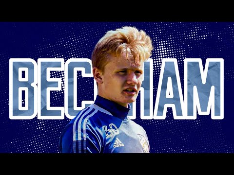 BECKHAM SUNDERLAND ► Best Saves (HD)
