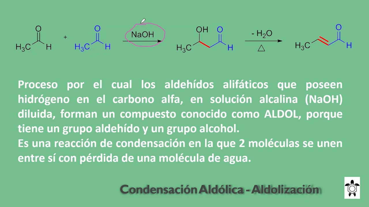 Química 31 de enero 25
