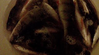 Ссылка