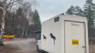 Xe vận chuyển ngựa Mercedes-Benz SPRINTER | H&igrave;nh ảnh 4 - Autoline