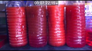 Oil/Coolant Separation Test
