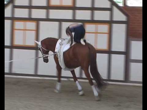 CVI** Krumke 2010 - Kristina Boe (Kür)